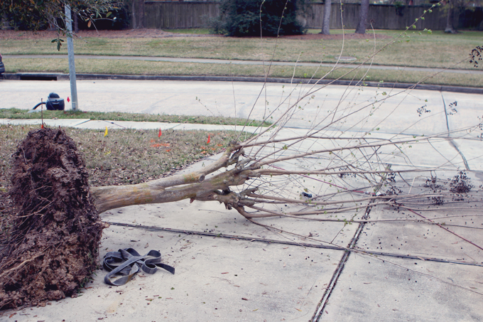 Unexpected Project: Busted Water Pipe