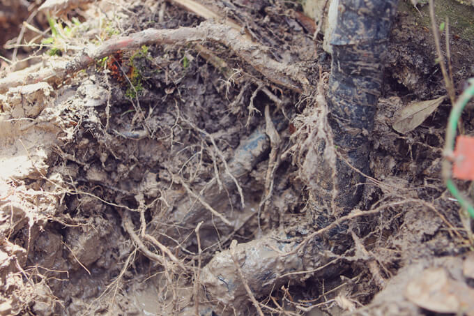 Unexpected Project: Busted Water Pipe