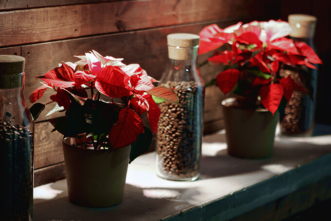 Christmas Coffee Bar at Gray House Studio