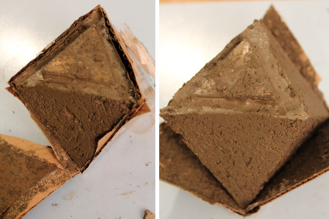 DIY Concrete Planters