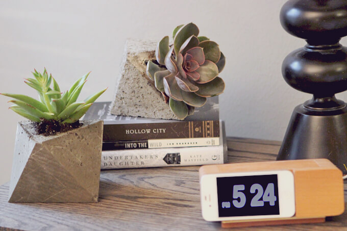 DIY Concrete Planters