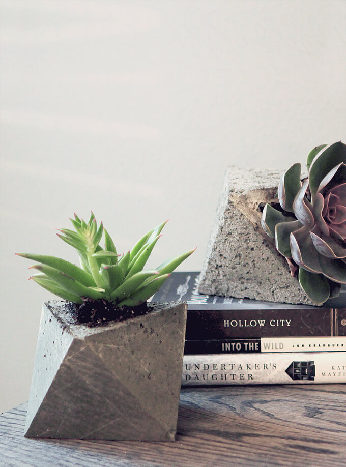 DIY Concrete Planters