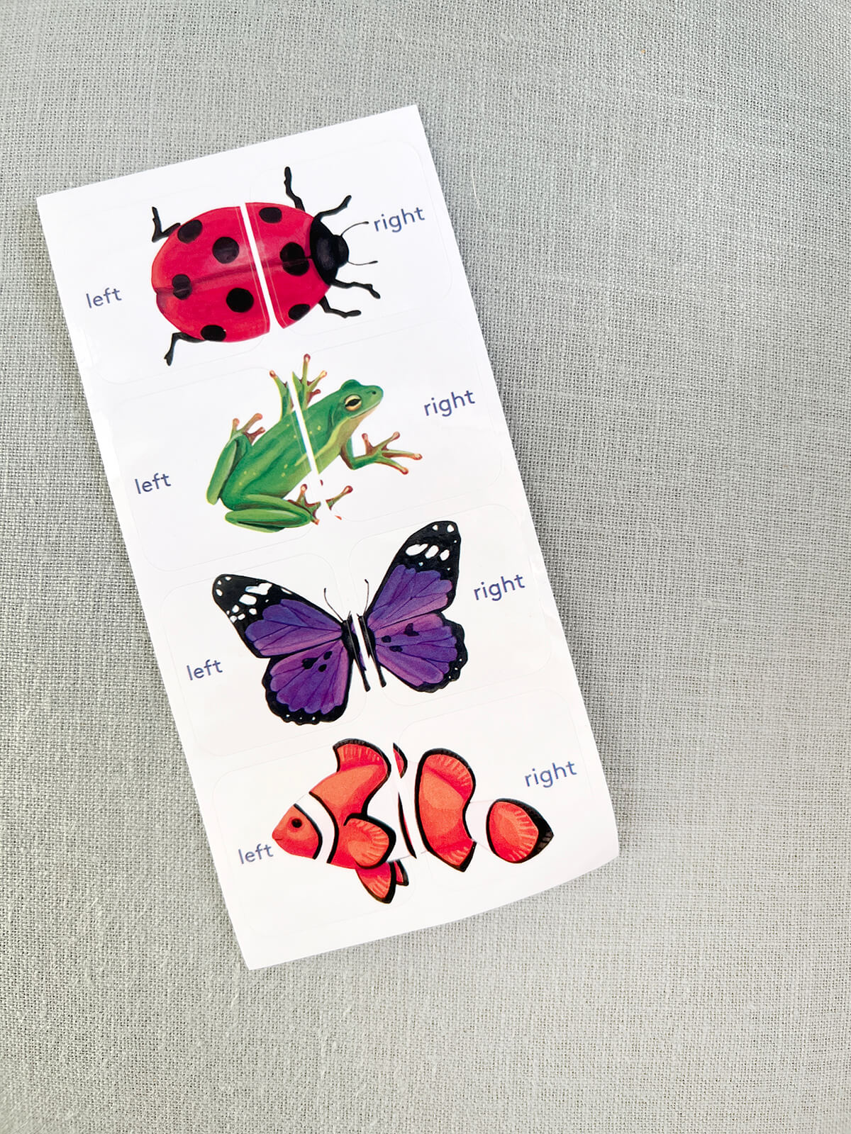 Lovevery Play Kits - High Quality Toys for 3 year olds