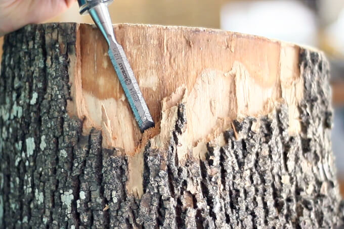 DIY Log Side Table