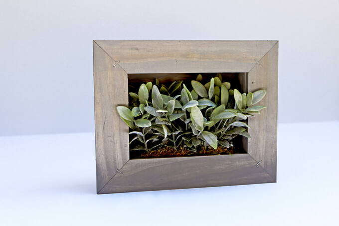 DIY Picture Frame Planter