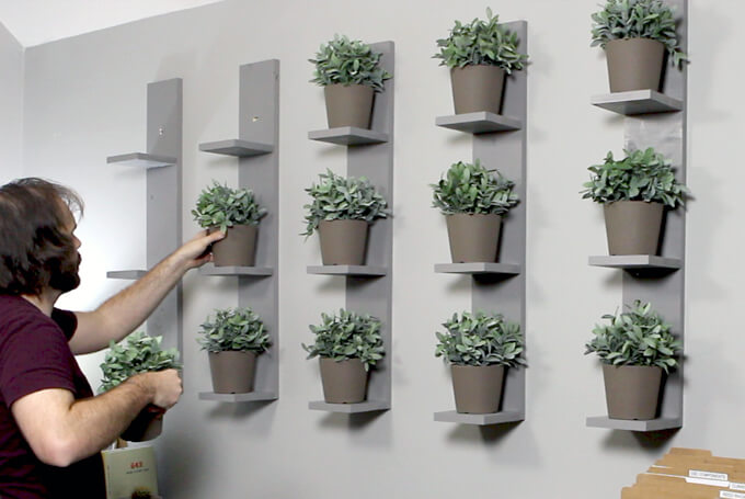 Wall-Mounted Plant Shelves