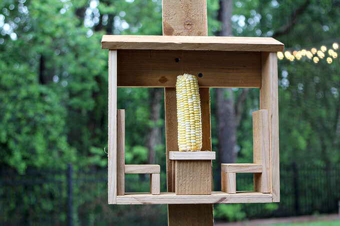 Squirrel Corn Cob Feeder DIY
